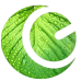 ECOG Groups